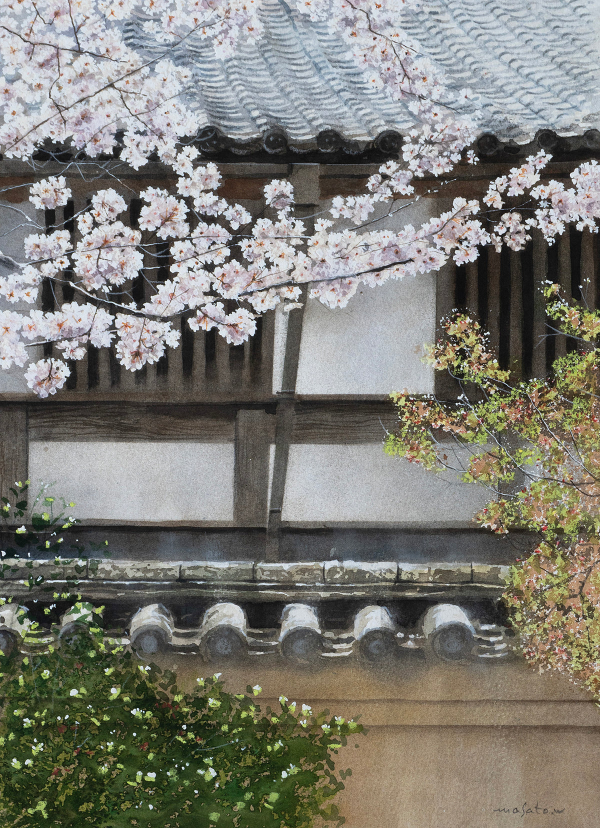 瓦屋根と桜