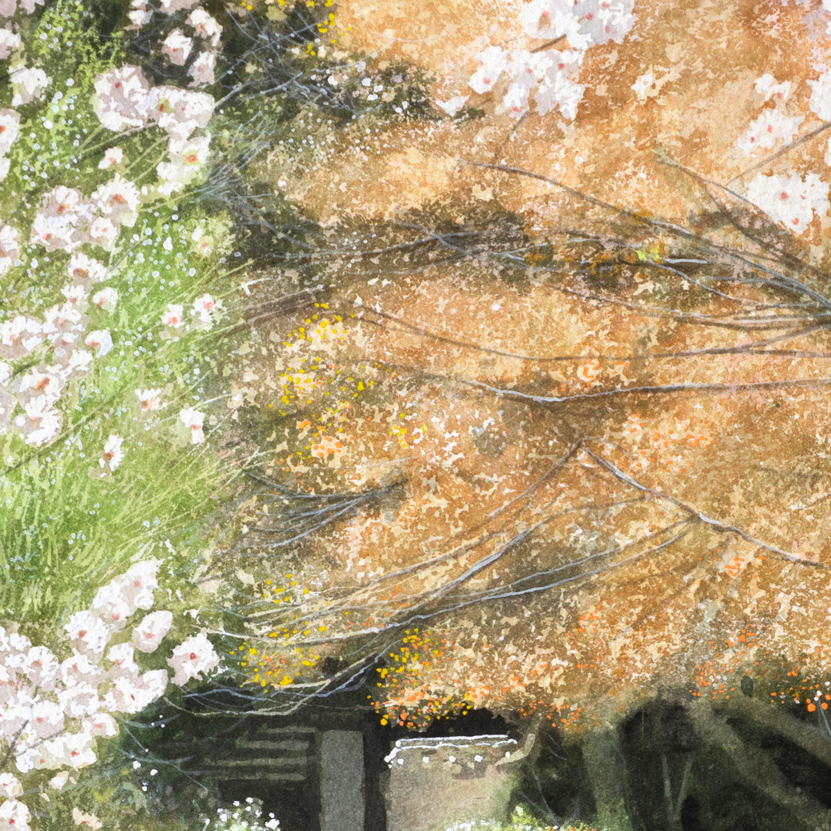 桜のアプローチ