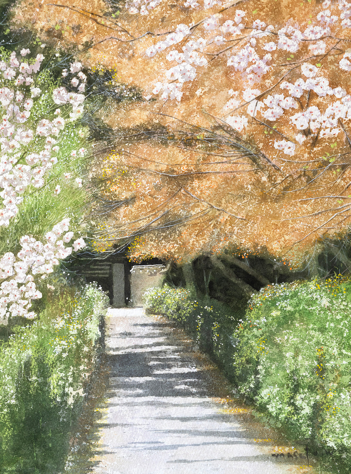 桜のアプローチ