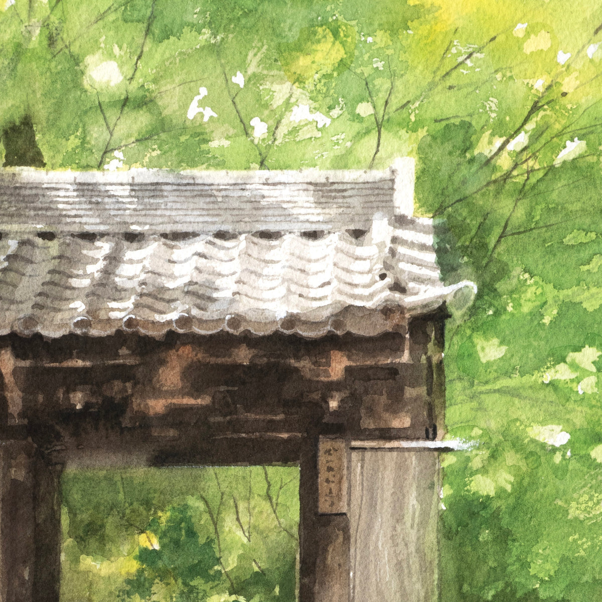 初夏の山門