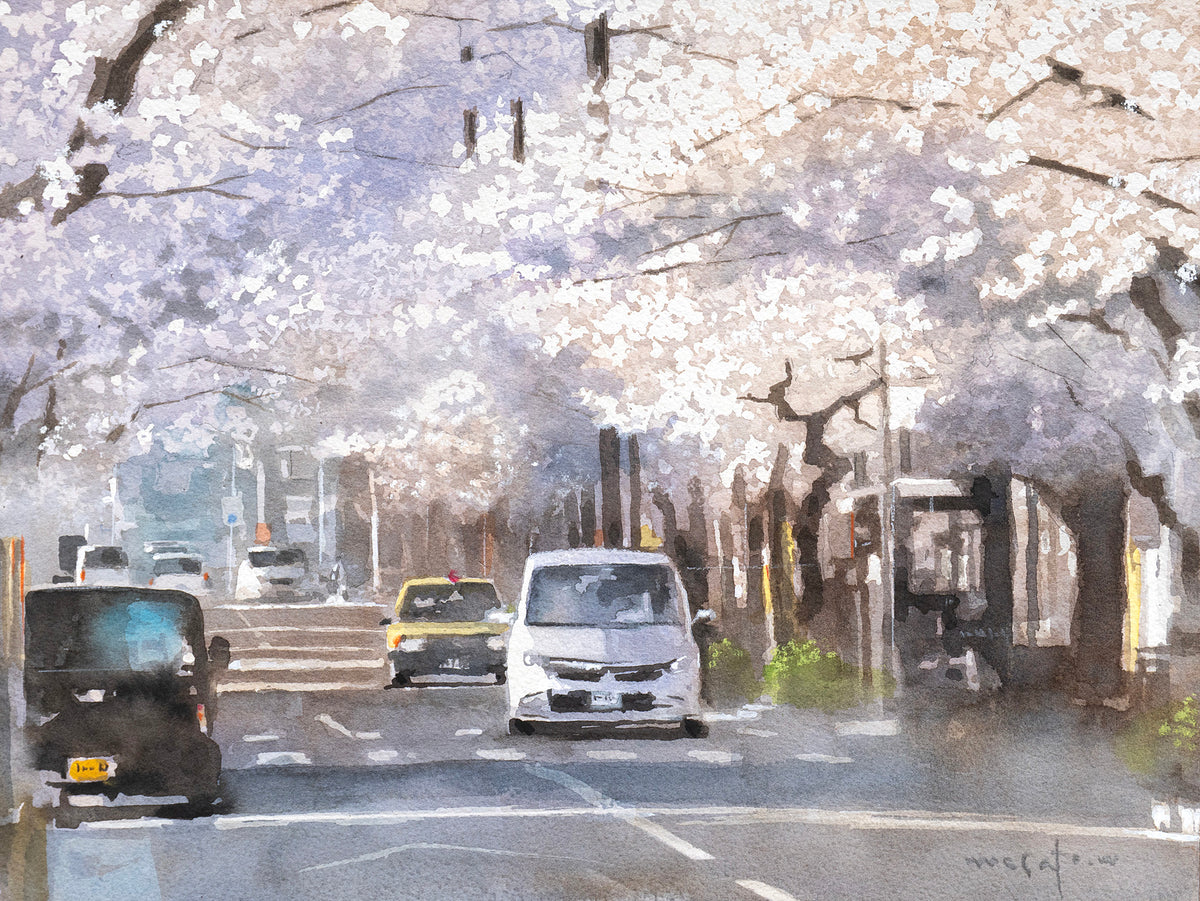 桜通り