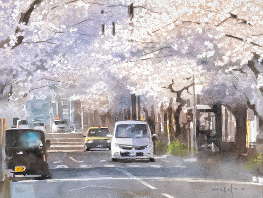 桜通り