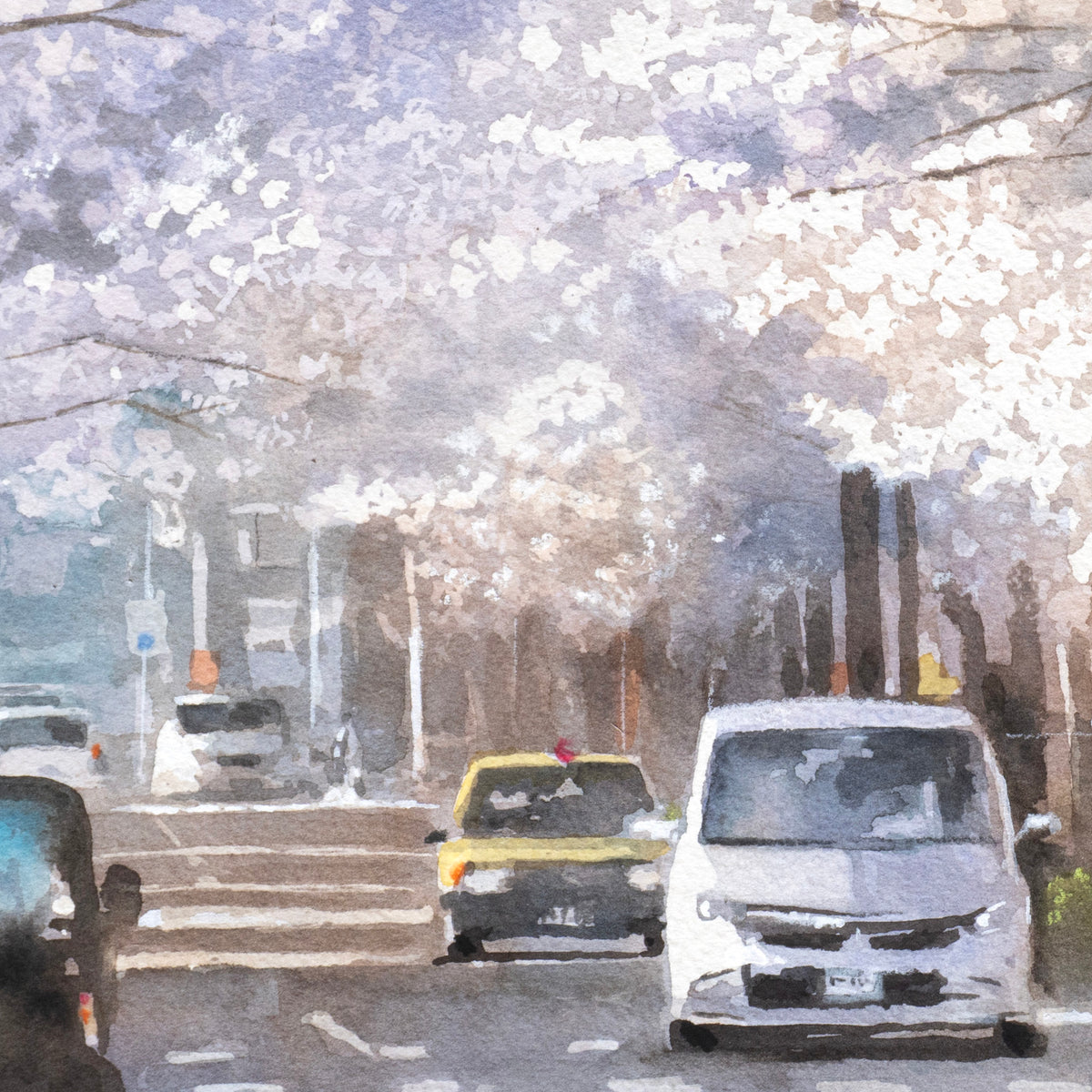 桜通り